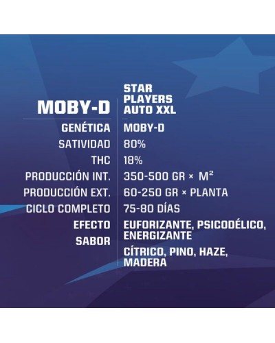 Moby D XXL Auto
