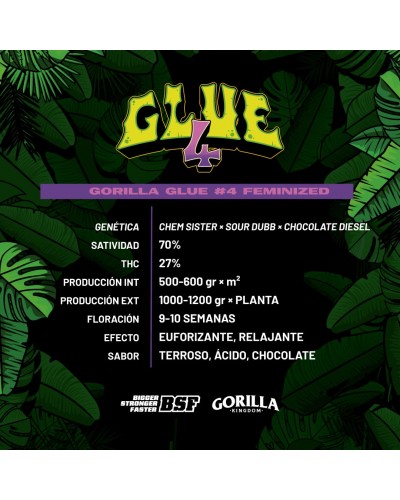 Gorilla Glue 4 Feminized