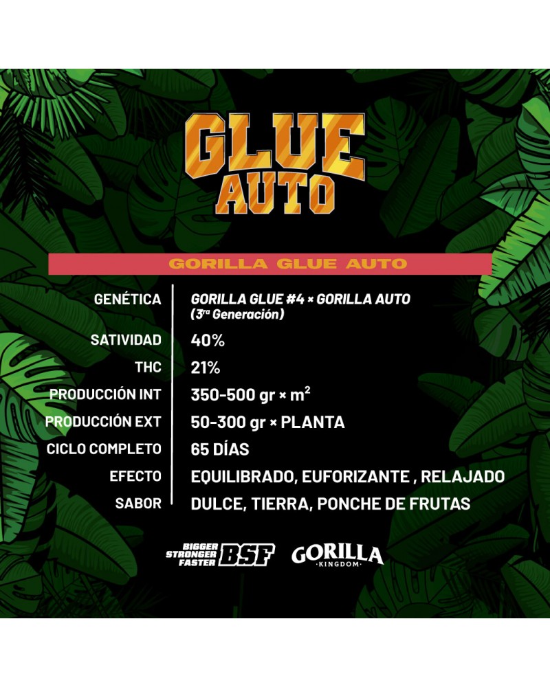 Gorilla Glue Auto Formato X2