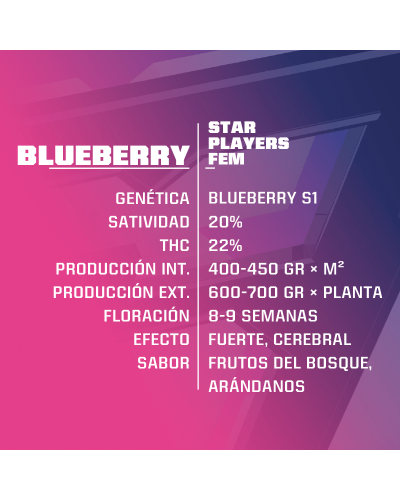 Blueberry Fem