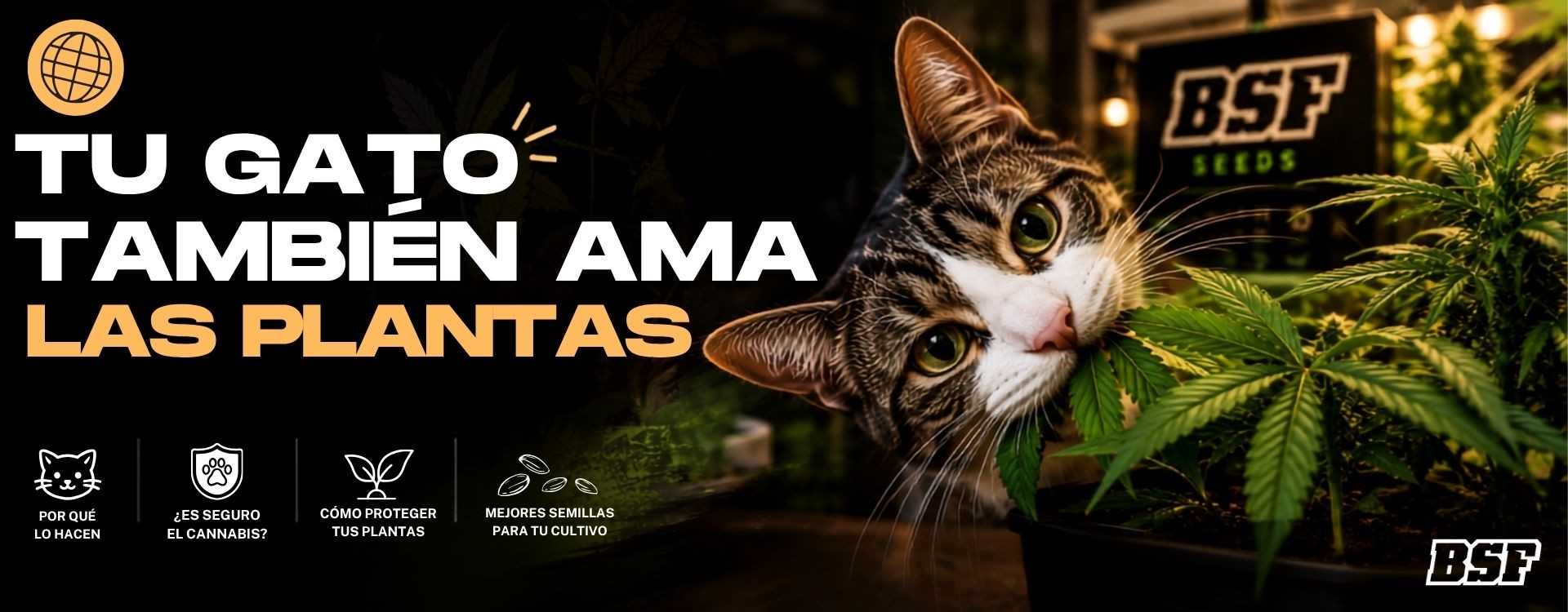 Agosto viene con bigotes, ronroneos y plantas mordisqueadas