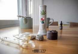 La fase de Consumo del Cannabis: cuando la genética se transforma en experiencia