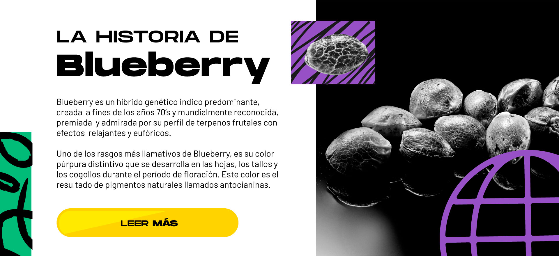 LA HISTORIA DE BLUEBERRY